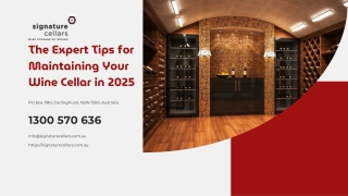 The Expert Tips for Maintaining Your Wine Cellar in 2025