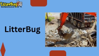 LitterBug Comprehensive Waste and Recycling Solutions in Lethbridge