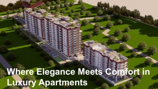 Where Elegance Meets Comfort in Luxury Apartments