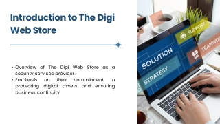 The Digi Web Store – Security Services Provider