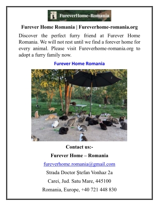 Furever Home Romania  Fureverhome-romania.org