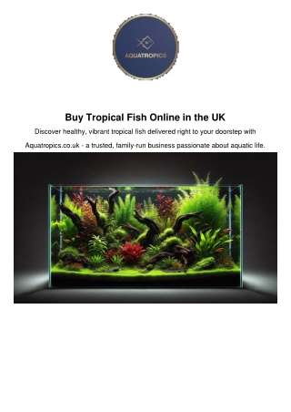 Buy Tropical Fish Online in the UK