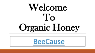 Organic Honey