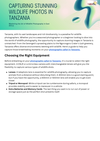 How to Capture Stunning Wildlife Photos in Tanzania