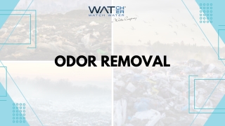 Odor Removal