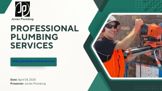 Professional Plumbing Services