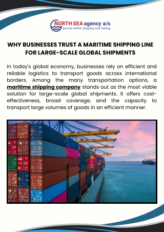 Why Businesses Trust a Maritime Shipping Line for Large-Scale Global Shipments