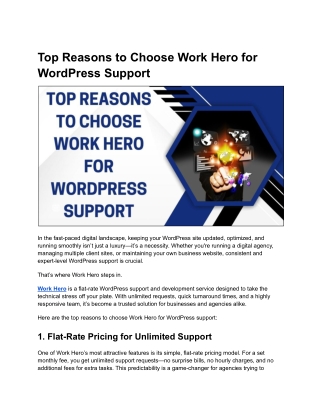Top Reasons to Choose Work Hero for WordPress Support