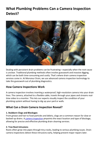 What Issues Can a Drain Camera Inspection Detect?