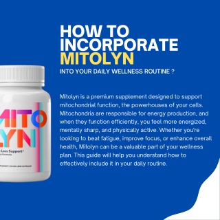 How to Incorporate Mitolyn into Your Daily Wellness Routine