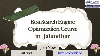 Best Search Engine Optimization Course in Jalandhar