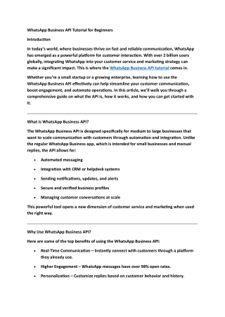 WhatsApp Business API Noida API – Complete Guide