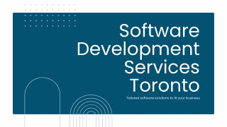Toronto Software Developers for Business Solutions | Haya Solutions