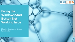 Windows Start Button Not Working Issue