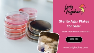 Sterile Agar Plates for Sale Boost Your Mycology Success