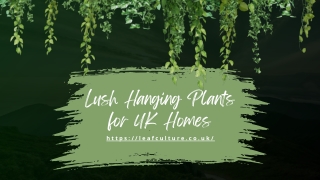 Lush Hanging Plants for UK Homes