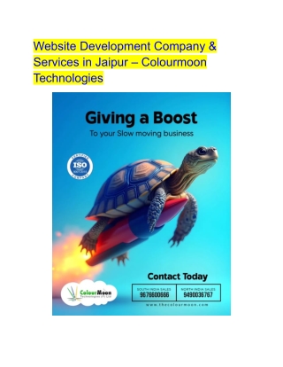 Website Development Company & Services in Jaipur – Colourmoon Technologies