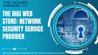 The Digi Web Store Network Security Service Provider