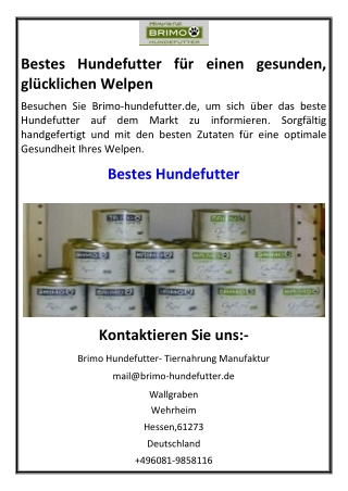 Bestes Hundefutter für einen gesunden, glücklichen Welpen