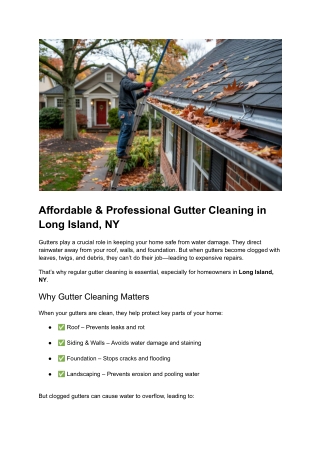 Post 19 - Affordable & Professional Gutter Cleaning in Long Island, NY