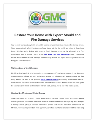 Mould cleaning services