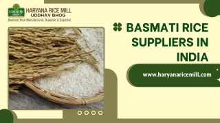Basmati Rice Suppliers In India