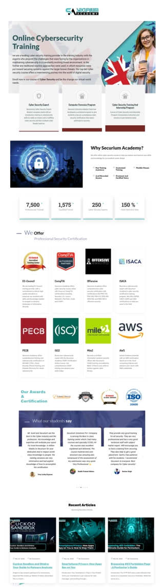 Online Cybersecurity Training