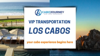 VIP Transportation Los Cabos