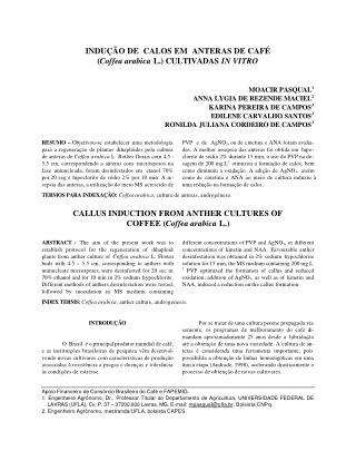 26-1-2002_09 CULTURA DE ANTERAS