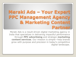 Meraki Ads – Your Expert PPC Management Agency
