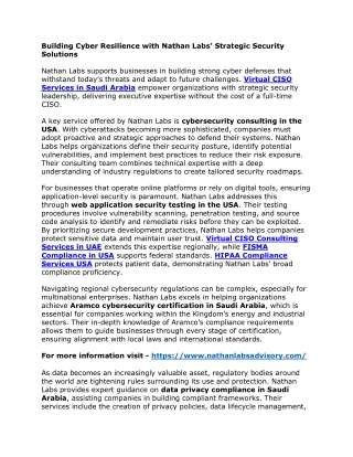 Building Cyber Resilience with Nathan Labs' Strategic Security Solutions