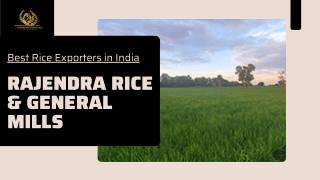 Rice Manufacturers in Haryana | Rajendra Rice & General Mills
