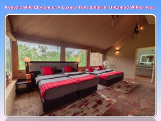 Kenya’s Wild Elegance A Luxury Tent Safari in Untamed Wilderness