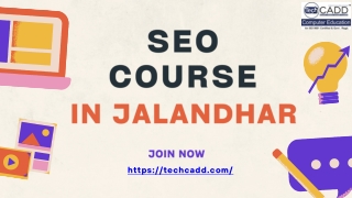 Best Search Engine Optimization Course in Jalandhar