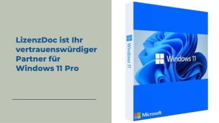 LizenzDoc ist Ihr vertrauenswürdiger Partner für Windows 11 Pro