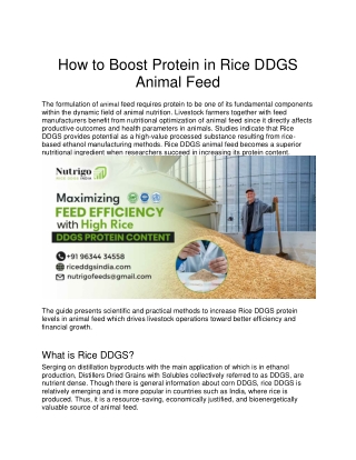 Rice DDGs Protein Content: A Nutritious and Sustainable Feed Ingredient
