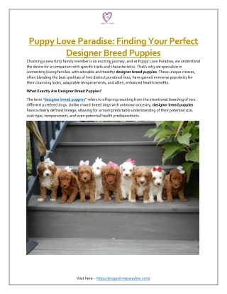 Puppy Love Paradise: Finding Your Perfect Designer Breed Puppies