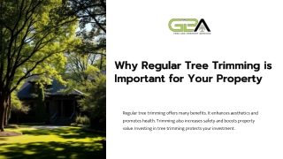 Why Regular Tree Trimming is Important for Your Property