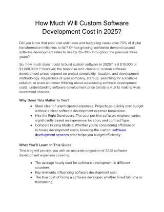 How Much Will Custom Software Development Cost in 2025