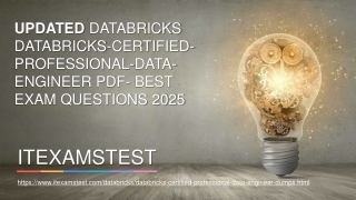 Databricks-Certified-Professional-Data-Engineer Dumps