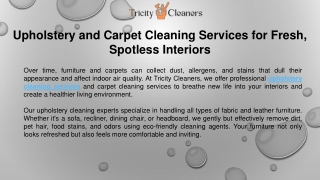 Upholstery and Carpet Cleaning Services for Fresh, Spotless Interiors