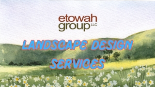 Innovative Landscape Design Services