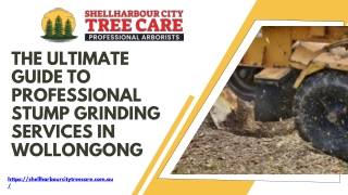 The Ultimate Guide to Professional Stump Grinding Services in Wollongong