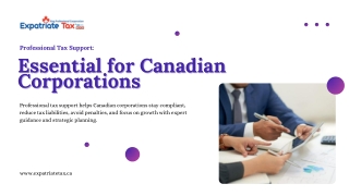 Professional Tax Support Essential for Canadian Corporations