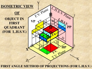 Lec 3 Ortho Practice.final