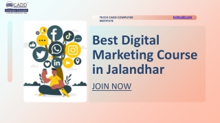 Best Digital Marketing Course in Jalandhar