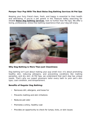 Pamper Your Pup With The Best Boise Dog Bathing Services At Pet Spa