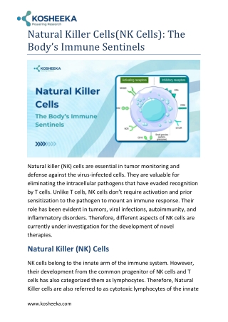 Natural Killer Cells: The Body’s Immune Sentinels