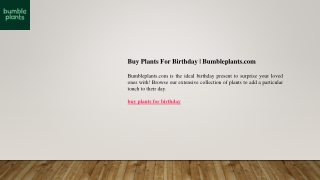 Buy Plants For Birthday  Bumbleplants