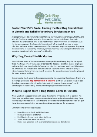 Protect Your Pet’s Smile Finding the Best Dog Dental Clinic in Victoria and Reliable Veterinary Services near You
